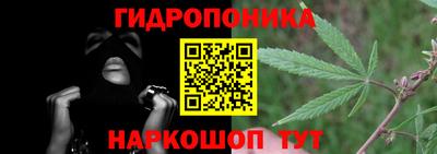 ешки Долгопрудный
