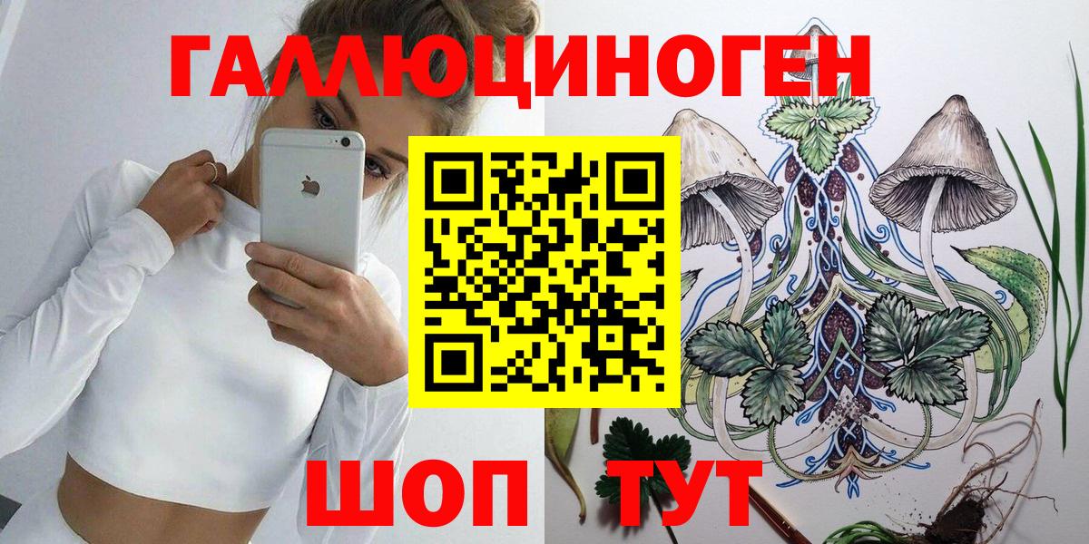 Воркута  Псилоцибиновые грибы мухоморы  Вход с VPN 