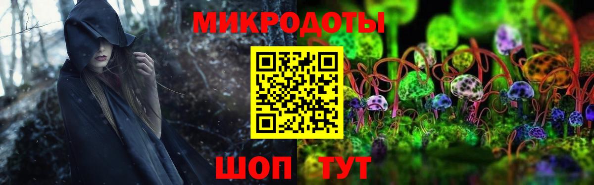 Псилоцибиновые грибы Psilocybine cubensis Воркута